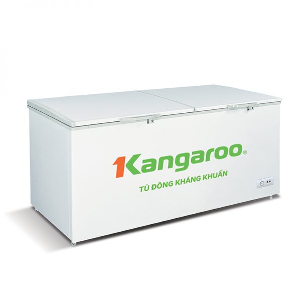 Tủ đông kháng khuẩn Kangaroo KG1009C1 công nghệ Nano bạc